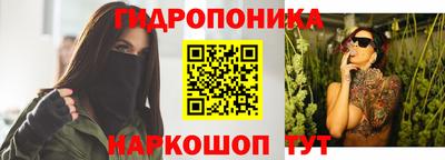 эйфоретик Гусь-Хрустальный